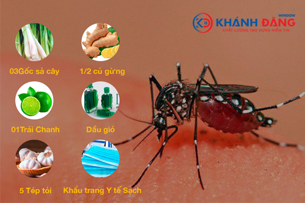 5 cách chống muỗi an toàn nhất